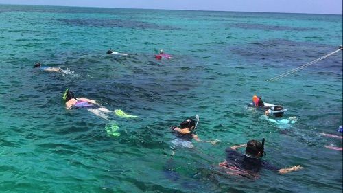 guided family snorkeling tours in northern eleuthera